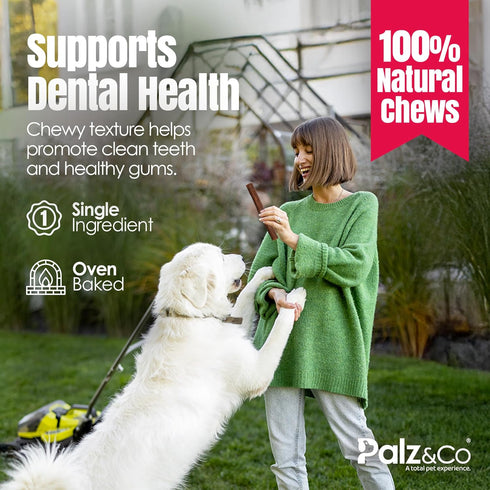 20 Pack Palz&Co Chicken Sausage Dog Treats - of All-Natural Grain-Free Chews for Dogs, Supports Dental Health & Hip