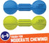 Nerf Dog Chewable Barbell Dog Toy, Lightweight, Durable and Water Resistant, 7.5 Inches, for Medium/Large Breeds, Two Pack, Blue and Green (8953)