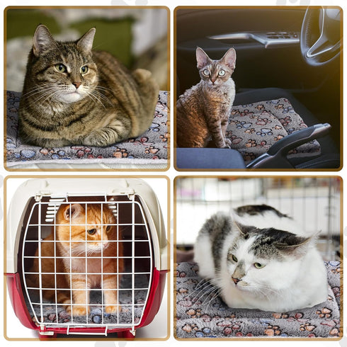 4 Pack Ultra Soft Dog Cat Bed Mat with Cute Prints, Cozy Washable Thickened Pet Bed Mat for Small Animals