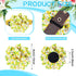 Sadnyy 150 Pcs Dog Collar Bows for Dogs, Multi Color Pet Flower Bow Ties for Puppy Dog Cat Collar Grooming Accessories