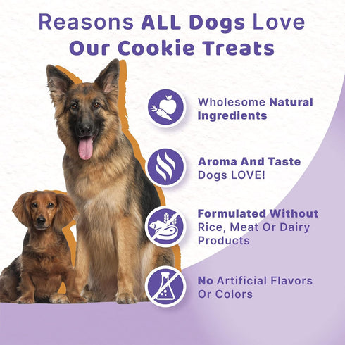 Halo Plant-Based Dog Treats, Peanut Butter & Banana, Vegan Pouch, 8oz