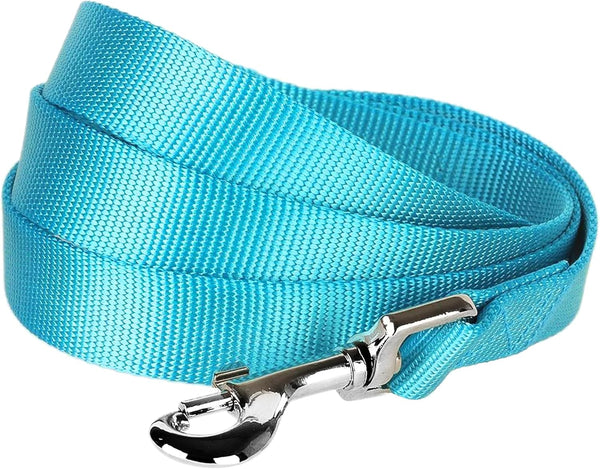 Turquoise Dog Leash for Medium - Blueberry Pet Essentials - 5' * 3/4" Dogs | Heavy Duty Nylon Lead | Lightweight Puppy
