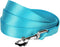 Turquoise Dog Leash for Medium - Blueberry Pet Essentials - 5' * 3/4" Dogs | Heavy Duty Nylon Lead | Lightweight Puppy