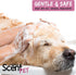 13 (200mL) Pet Shampoo with Sea Salt for Dogs & Cats Nano Tech Long-Lasting Fresh Clean Scent, Eliminates Odors All