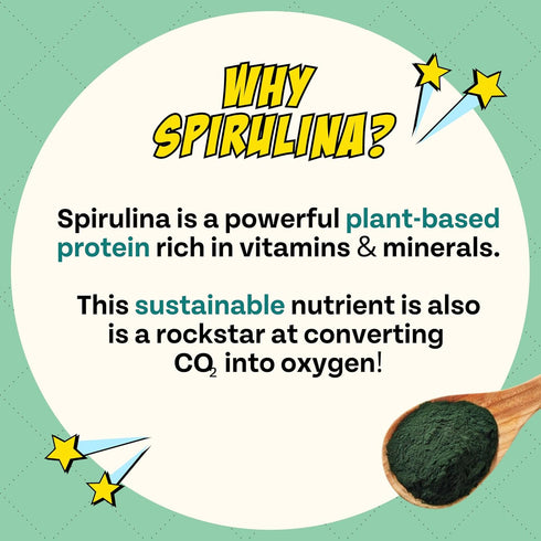 Chippin Natural Dog Treat - Spirulina, Kale, Carrots, Crunchy Vegan Biscuit for Puppies, Seniors, Hypoallergenic
