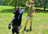 Flirt Pole Replacement Toy - Multi-Sensory Tough Raccoon Toy for Mighty StrongBite Flirt Pole for Dogs