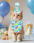 PET SHOW Dogs 1st Birthday Hats and Bandanas Set - Photo Props for 1-Year-Old Cats and Dogs (Blue)
