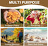 ProtectHobby 2 Mushroom Foraging Bag Kit with Adjustable Waistband - Folding Mesh Bags & Leather Tool Pouch, Suitable