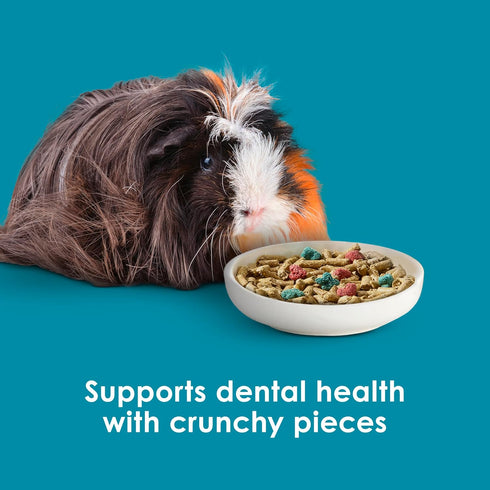 Immune 5 Kaytee Forti-Diet Pro Health Nourish+Protect Guinea Pig Food, Comprehensive Nutrition Backed by Science