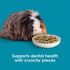 Immune 5 Kaytee Forti-Diet Pro Health Nourish+Protect Guinea Pig Food, Comprehensive Nutrition Backed by Science
