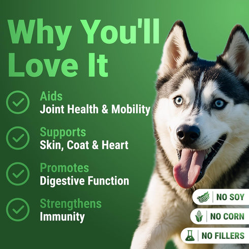 Immune WuffWell Super Greens Powder for Dogs Spirulina, Chlorella, Moringa, Glucosamine & Turmeric Joint, & Skin
