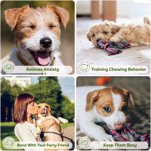 SHARLOVY Puppy Rope Toy - Dog Rope Toy for Small Dogs, Cotton Interactive Tug of War Chew Toy for Puppies