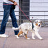 5/6 FT Strong Dog Leash for Pets, Highly Reflective Rope, Soft Padded Handle, 360-Degree Rotating Metal Buckle, 5ft