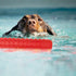 Dog Float Toy - Interactive Training Bumper & Fetching Retrieving Water Toy for Small, Medium, Large Dogs