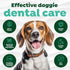 TropiClean Fresh Breath Toothbrush and Toothpaste Kit for Dogs, Teeth Cleaning Kit for Plaque & Tartar Removal, Breath
