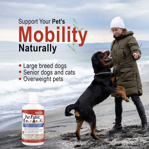 Vital Earth Minerals Pet Fulvic, Dog Allergy Relief and Joint Support Supplement - 16 oz (Pack of 2)