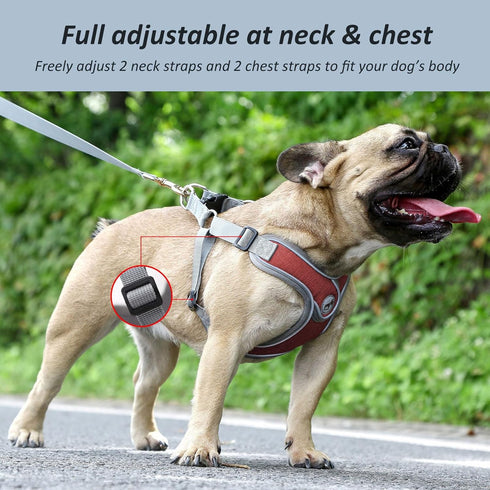 Dog Harness with Leash Set, No Pull Adjustable Step-in Harness with Breathable Padded Vest for Small Medium Large Dogs