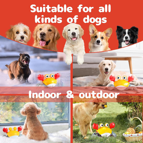 Crawling Crab Dog Toys, Interactive USB Rechargeable Toy with Music Sounds & Lights for Dogs and Cats