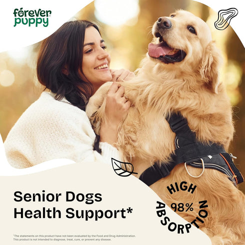 Senior Dog Drops - Immune, Thyroid & Cognitive Support for Elderly Dogs of All Breeds & Sizes - Antioxidant Support for Older Dogs - Liquid Vitamins and Supplements for Senior Wellness - 4 oz