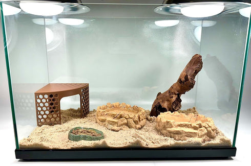 Lucky Critter Hermit Crab Climbing Toy Corner Stand | Hermit Crab Cave Tank Decor Hide Platform | Hermit Crab Hideout