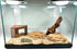 Lucky Critter Hermit Crab Climbing Toy Corner Stand | Hermit Crab Cave Tank Decor Hide Platform | Hermit Crab Hideout