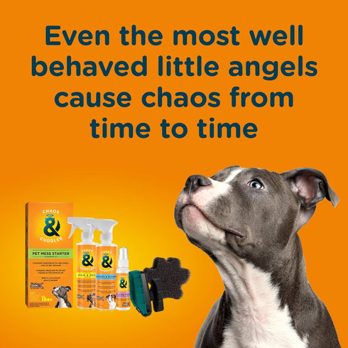 Chaos & Cuddles 50970 Pet Mess Starter Cleaning Kit, 26 Fl Oz