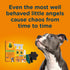 Chaos & Cuddles 50970 Pet Mess Starter Cleaning Kit, 26 Fl Oz