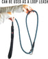Locking Carabiner Dog Leash, Heavy Duty Rope Leash for Large & Medium Dogs, 6 Ft, Blue