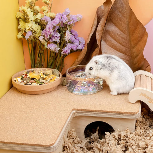Niteangel Hamster Feeding & Water Bowls, Mount Fuji Series Glass Drinking Bowls for Dwarf Syrian Hamsters, Gerbils,