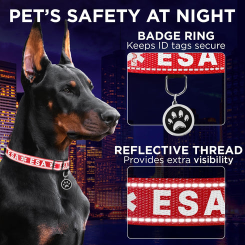 TECEUM Reflective Pet Collar, Red, XS, Extra Soft Padding, Basic Nylon Collar, Quick Release Buckle for Dogs and Cats