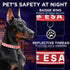 TECEUM Reflective Pet Collar, Red, XS, Extra Soft Padding, Basic Nylon Collar, Quick Release Buckle for Dogs and Cats