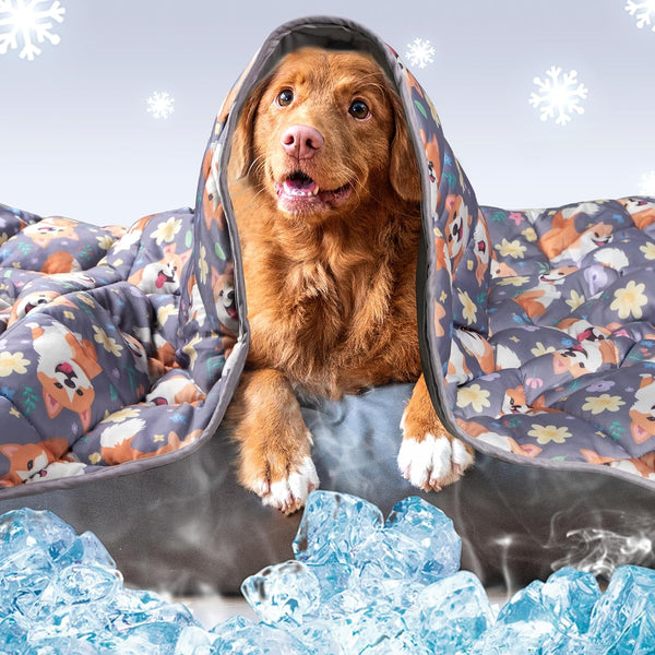 Leekalos Dog Cooling Mat, Portable Pet Cooling Cushion for Home & Outdoor, Summer Cooling Bed for Cats Blanket