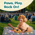 Squeaky Plush Guitar Dog Toy - Fun and Unique Gift for Your Pup