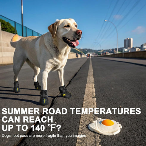 Expawlorer Dog Shoes for Small Dogs - Waterproof Anti-Slip Booties for Hot Pavement & Outdoor Use