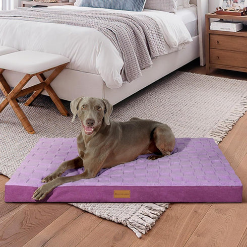 Patas Lague Checkered Orthopedic XXL Dog Bed for Extra Large Dogs, Waterproof with Removable Cover, Purple (48''X30'')