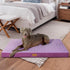 Patas Lague Checkered Orthopedic XXL Dog Bed for Extra Large Dogs, Waterproof with Removable Cover, Purple (48''X30'')
