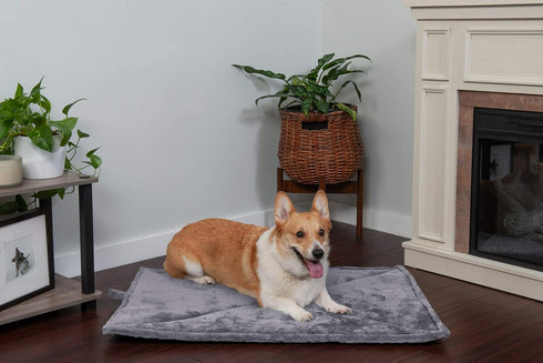 Furhaven ThermaNAP Self-Warming Cat Bed for Indoor Cats & Small Dogs, Washable, Reflects Body Heat - Gray, Small