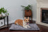 Furhaven ThermaNAP Self-Warming Cat Bed for Indoor Cats & Small Dogs, Washable, Reflects Body Heat - Gray, Small