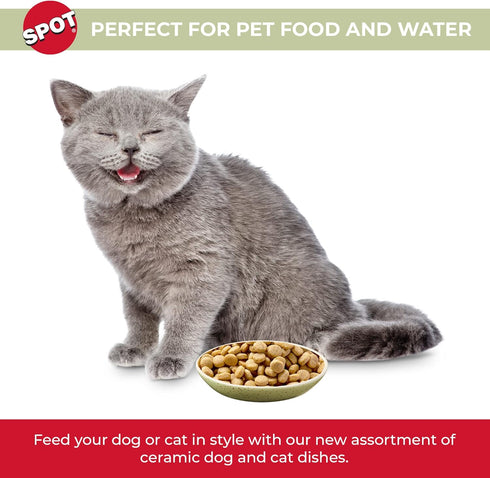 SPOT by Ethical Products - Heavy Ceramic High Gloss Dog Bowl Cat Bowl Durable Dog Food and Water Pet Dish - Dishwasher Safe - SPECKLED OVAL CAT DISH 6"