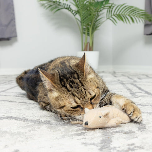 SPOT Flat Mouse Frankie with Catnip, Cat Toy, 5.5in Plush Mice with Catnip and Crinkle Sound, Perfect for Chasing