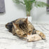 SPOT Flat Mouse Frankie with Catnip, Cat Toy, 5.5in Plush Mice with Catnip and Crinkle Sound, Perfect for Chasing