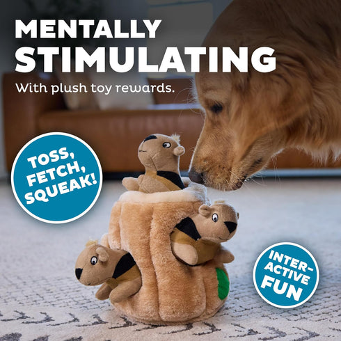 2in1 3 Outward Hound Hide-A-Squirrel Dog Toy Interactive Plush Puzzle with Squeaky Removable Squirrels, Large