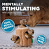 2in1 3 Outward Hound Hide-A-Squirrel Dog Toy Interactive Plush Puzzle with Squeaky Removable Squirrels, Large
