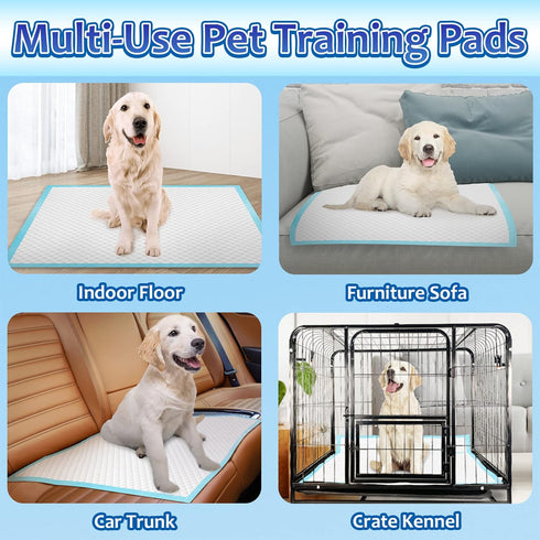 30"x36", 40 Count Dogcator Puppy Pads Extra Large Thicken XLarge Puppy Pee Pads for Dogs Super Absorbent, Leak-Proof