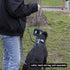 BUILT Pet Nightsafe Dog Leash, Medium, Navy and Yellow