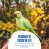 Finches, 3.7519.2 Penn-Plax Bird Life Two Flower Mirror with Bell - Interactive Bird Toy with Spinning Floral Mirrors