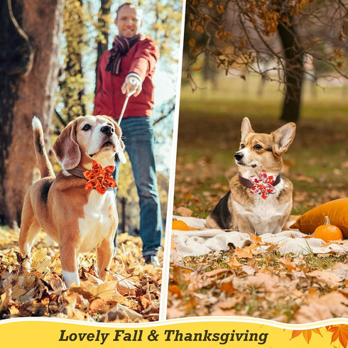 Silkfly 120 Pcs Fall Dog Collar Flower Set, Thanksgiving Bow Ties, Holiday Accessories for Small Medium Large Dogs