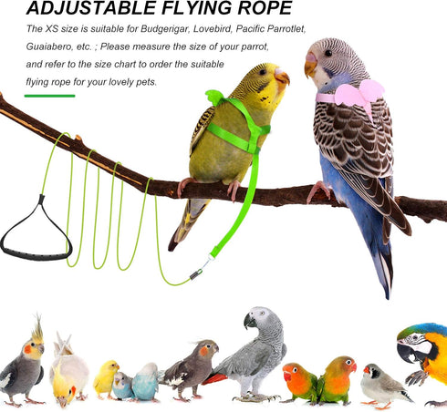 Shappy 4 Pieces Pet Parrot Bird Harness Leash, Adjustable Bird Flying Harness Traction Rope for Outdoor Training