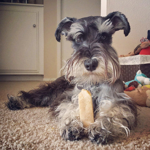 EcoKind Himalayan Yak Cheese Dog Chew, All Natural Premium Dog Treats, Large, 5-Pack - Healthy & Safe for Dogs