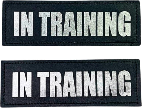 Albcorp Reflective In Training Patches with Hook Backing for Service Animal Vests, Large (6 X 2) Inch
